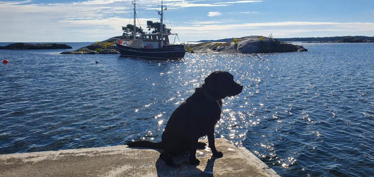 Moeja Stuga I Stockholms Skaergard Zewnętrze zdjęcie